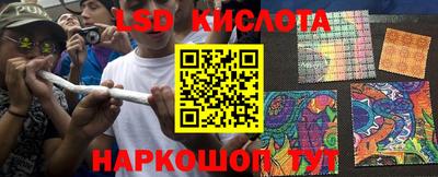 прущие грибы Ипатово