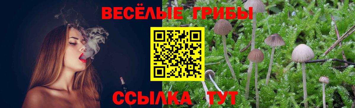 Псилоцибиновые грибы Magic Shrooms Киселёвск
