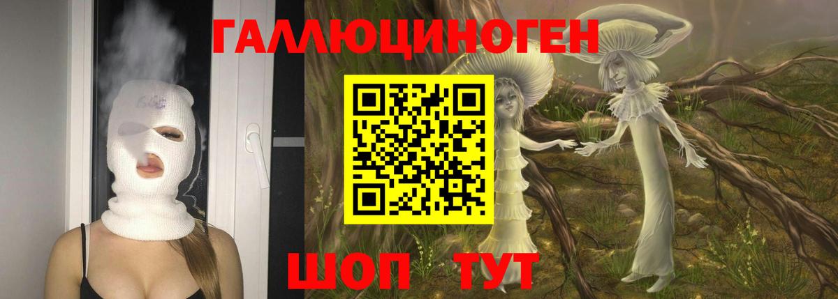 Псилоцибиновые грибы прущие грибы  Киселёвск  Галлюциногенные грибы мицелий 