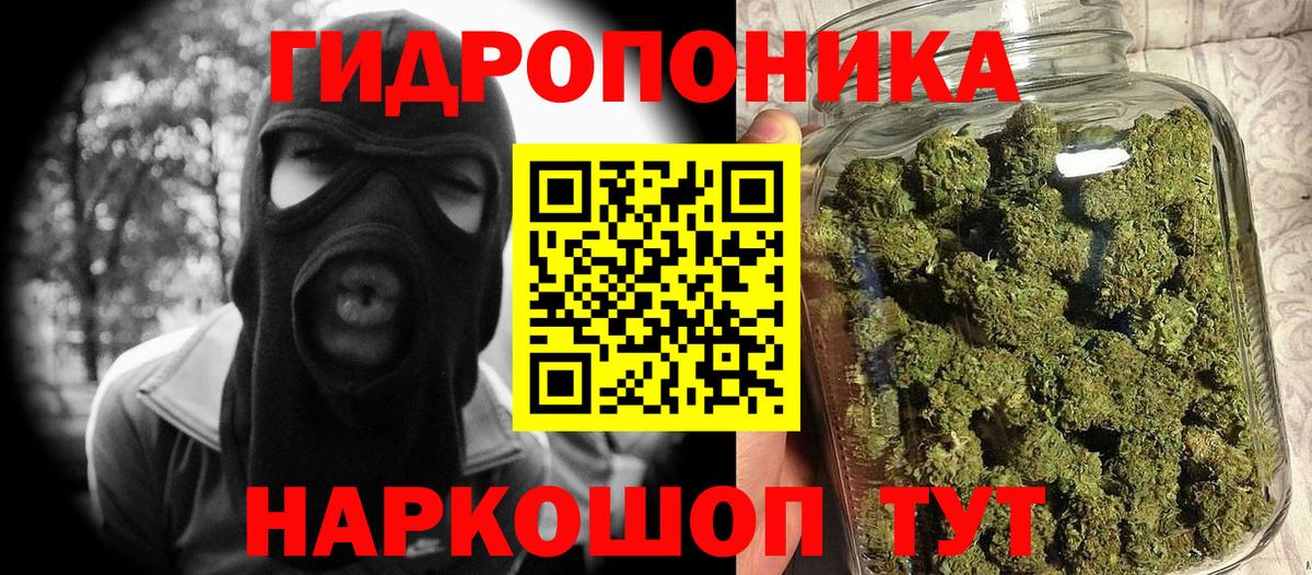 Конопля планчик  Марихуана индика  Вход с VPN  Киселёвск 